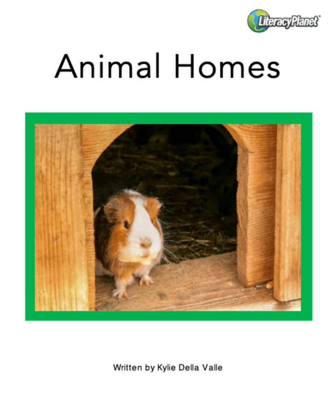 Animal Homes