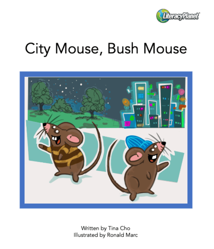 City Mouse Bush Mouse