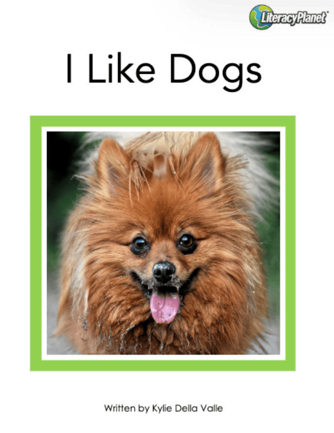 I like dogs