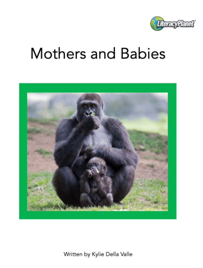 Mothers & Babies