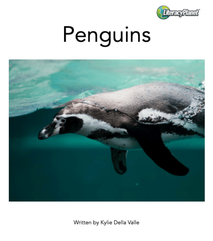 Penguins